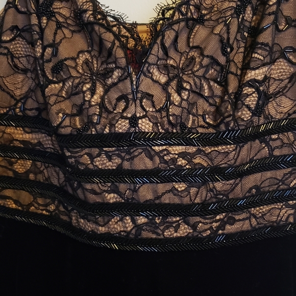 J. Michaels lace and velvet gown - Picture 4 of 9